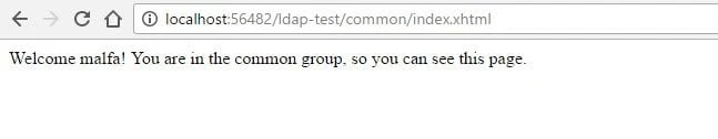 5-ldap-web-test-4.jpg